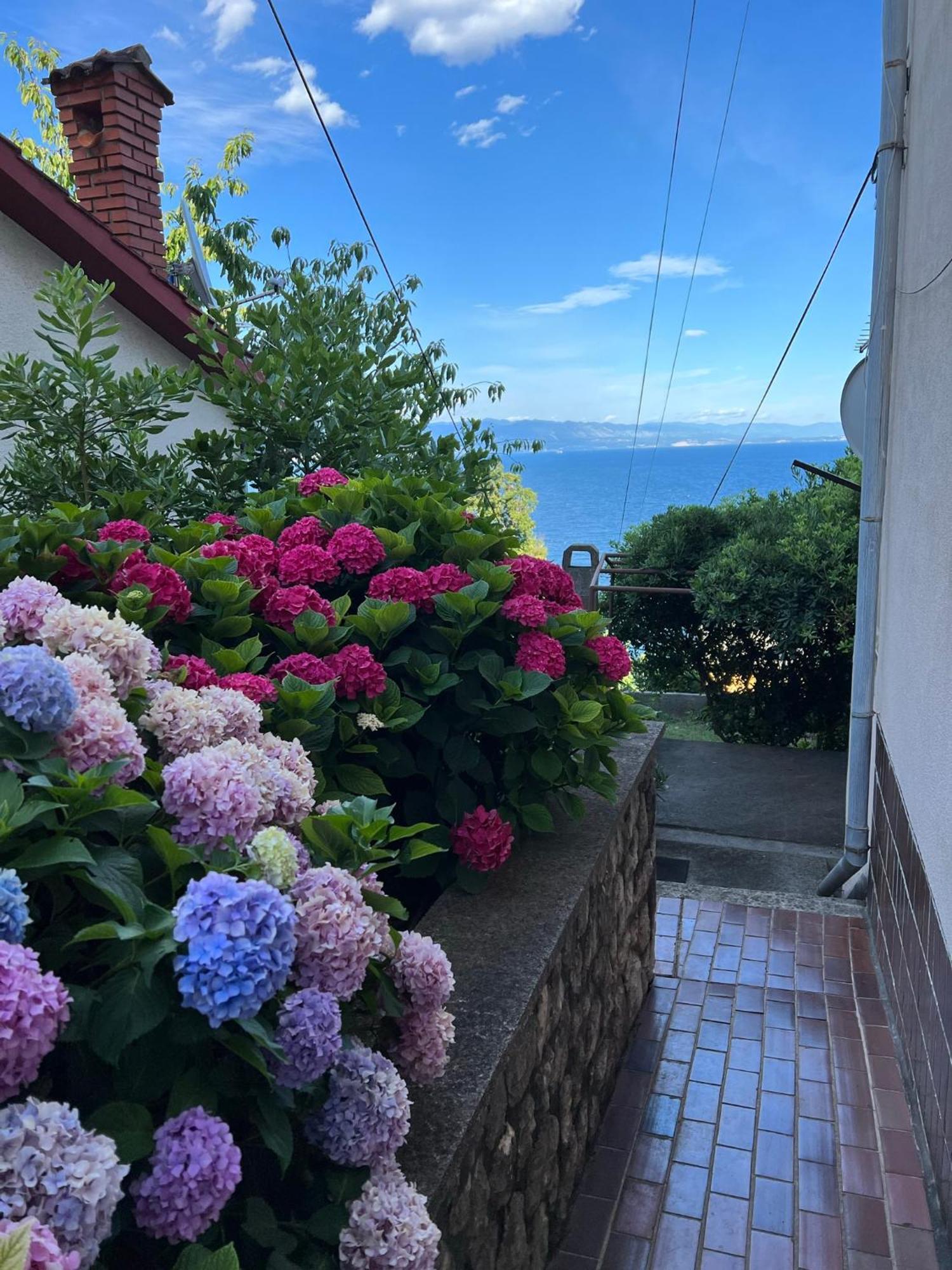 Apartment Mali Stan Opatija
